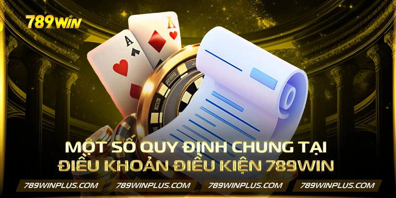 Một số quy định chung tại điều khoản điều kiện 789WIN