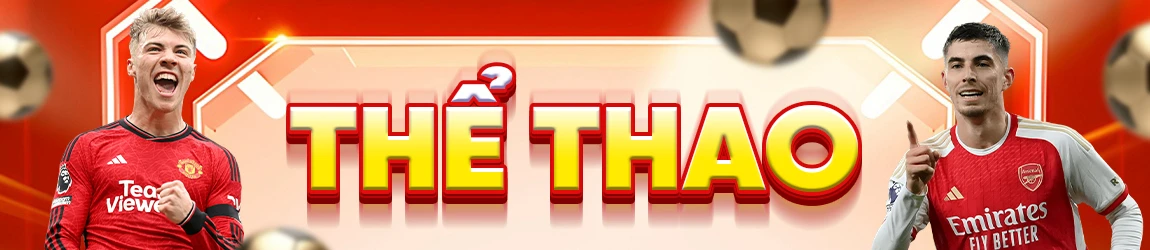 banner-the-thao-789win