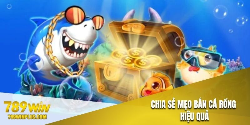 Hướng dẫn một số mẹo săn cá rồng giúp tăng hiệu quả đầu tư