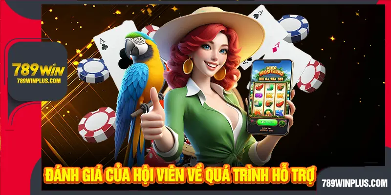 Đáng giá của hội viên về quá trình hỗ trợ